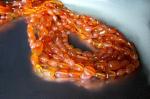 Carnelian, Oval, Plain