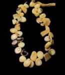 Petrified Wood Round Slices 8-12mm